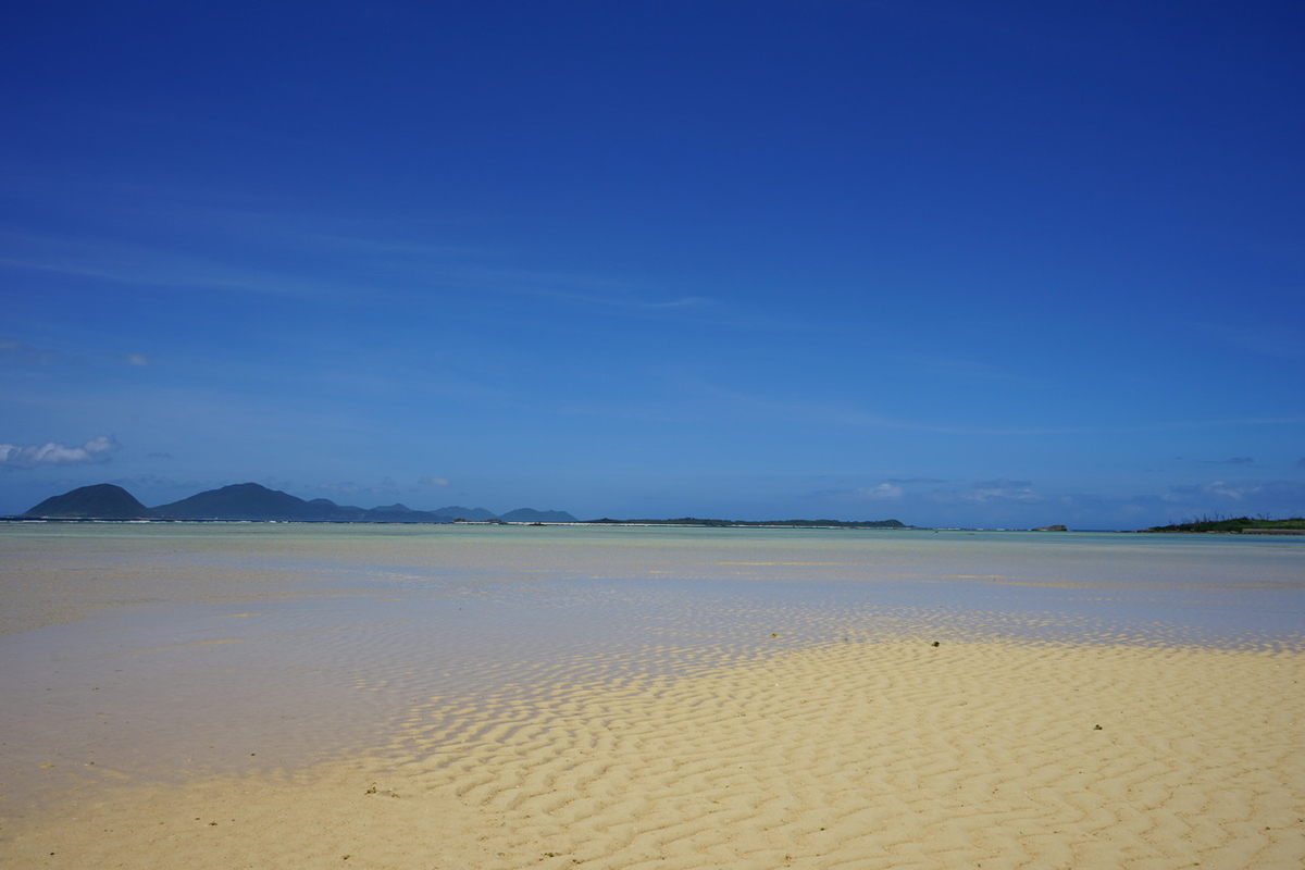 f:id:kohei_tourist:20200329145016j:plain