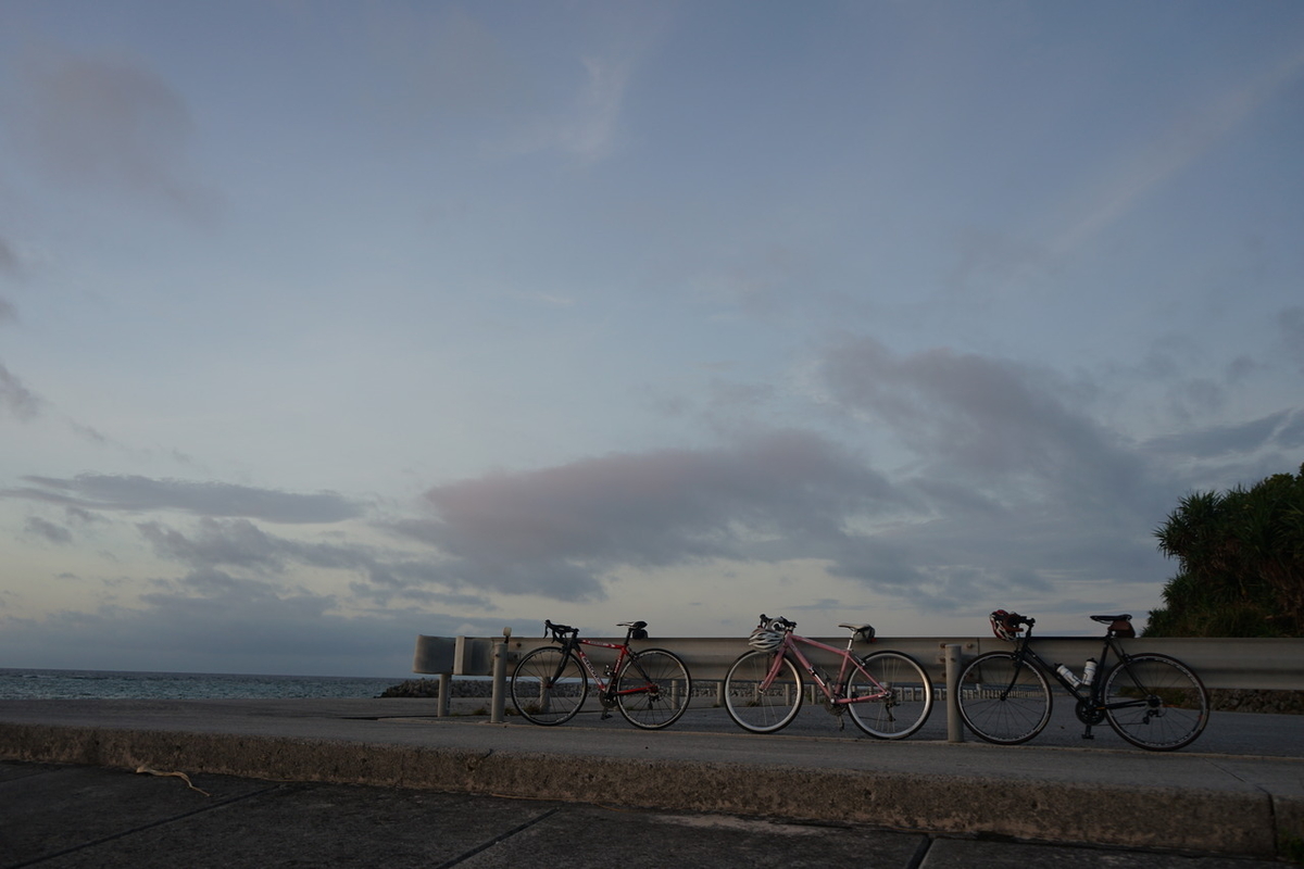 f:id:kohei_tourist:20200329145028j:plain