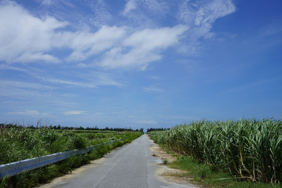 f:id:kohei_tourist:20200329145040j:plain
