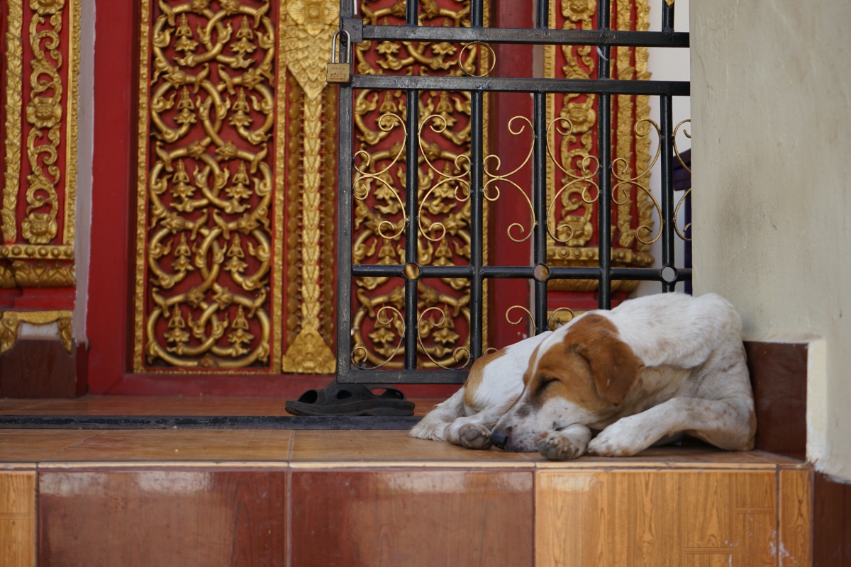 f:id:kohei_tourist:20200329172237j:plain