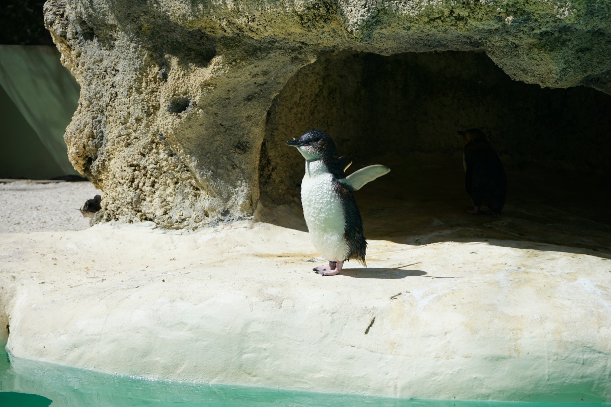 f:id:kohei_tourist:20200510005000j:plain