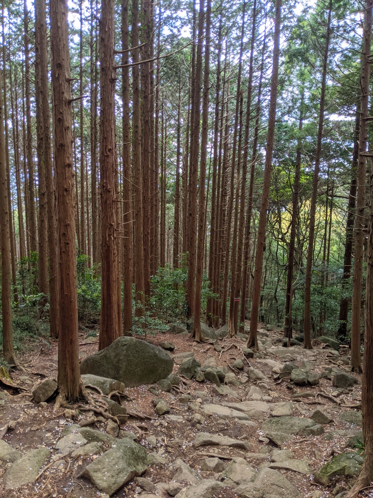 f:id:kohei_tourist:20210620225504j:plain