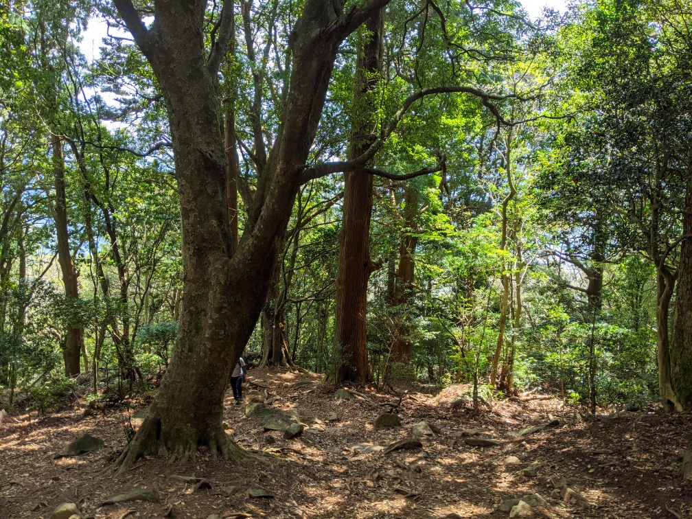 f:id:kohei_tourist:20210620230016j:plain