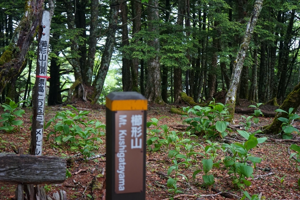 f:id:kohei_tourist:20210629192202j:plain