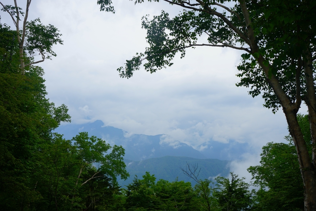 f:id:kohei_tourist:20210630000436j:plain