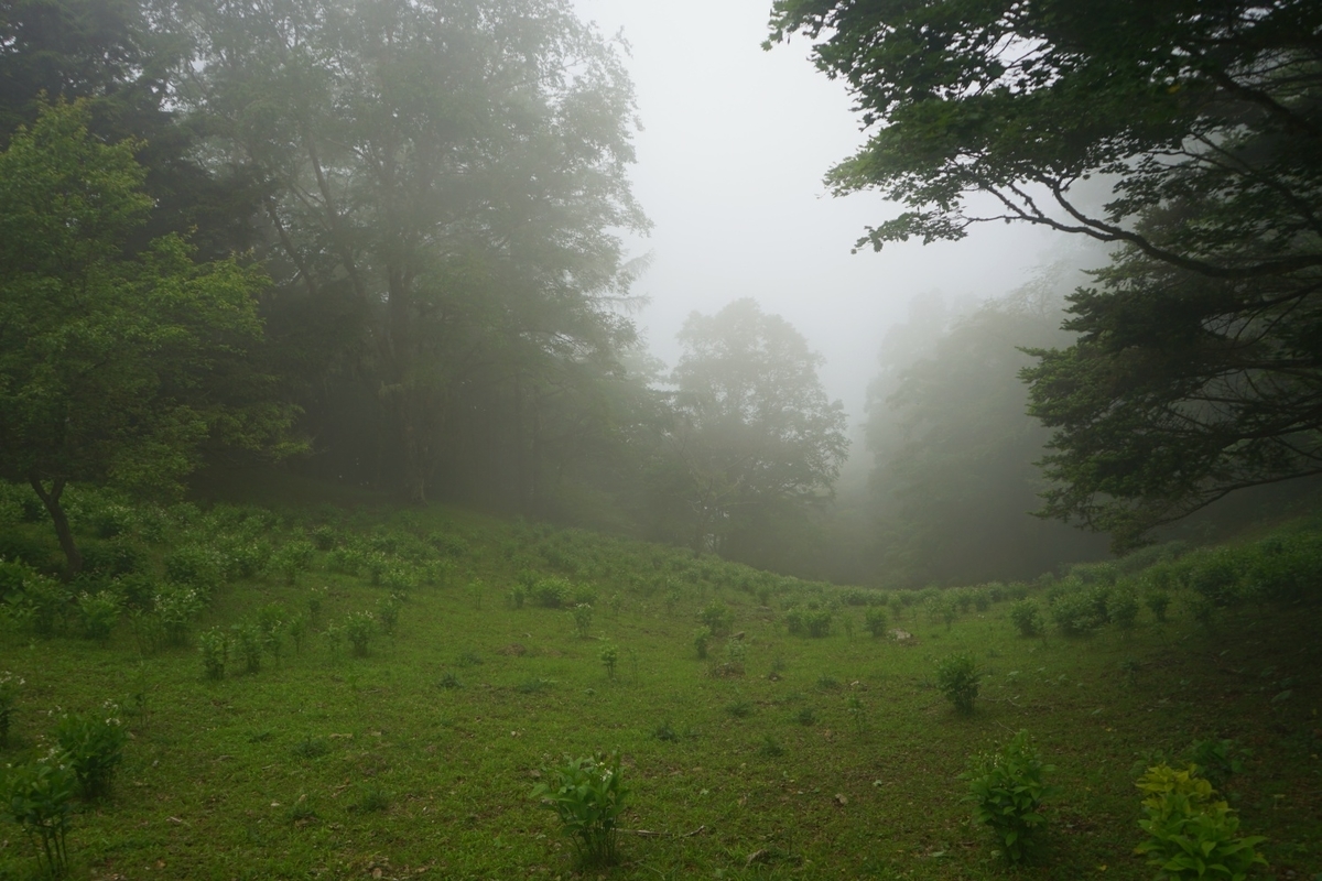 f:id:kohei_tourist:20210630002129j:plain