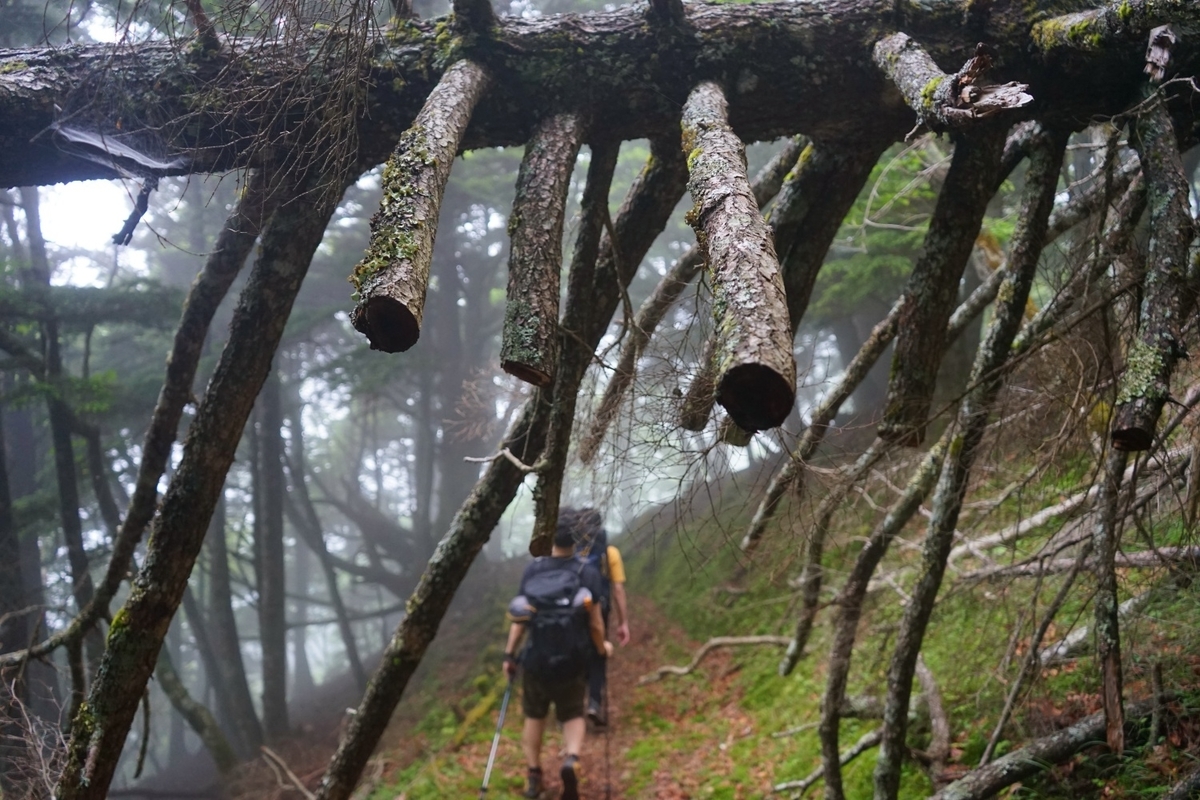 f:id:kohei_tourist:20210630002217j:plain