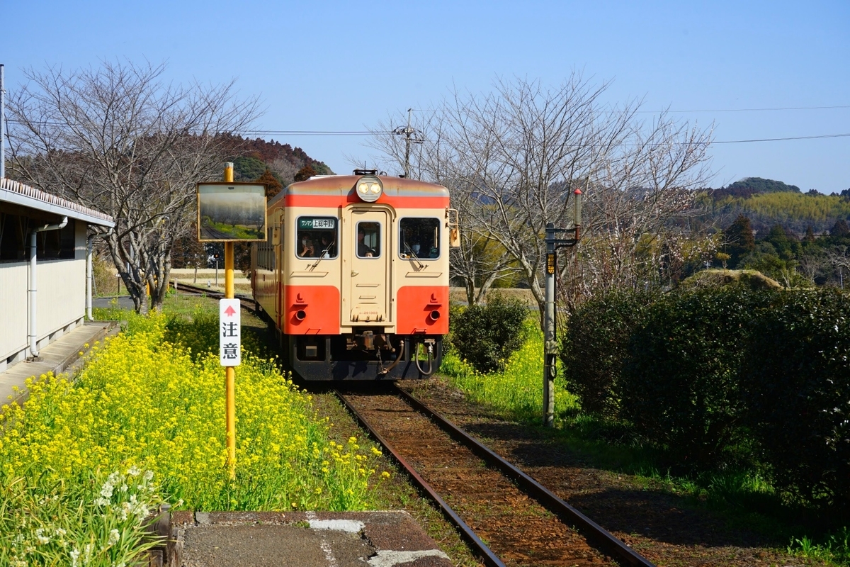 f:id:kohei_tourist:20220317183937j:plain