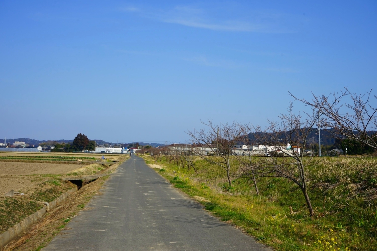 f:id:kohei_tourist:20220317220913j:plain