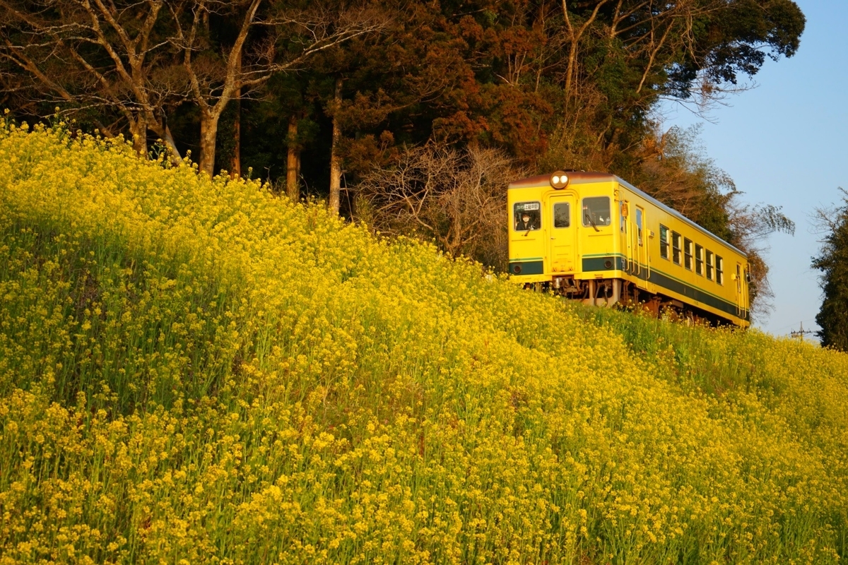 f:id:kohei_tourist:20220317222509j:plain