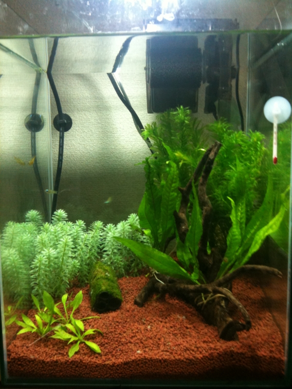 f:id:kohekit:20110703130206j:image:w360 f:id:kohekit:20110703130206j:image:w360