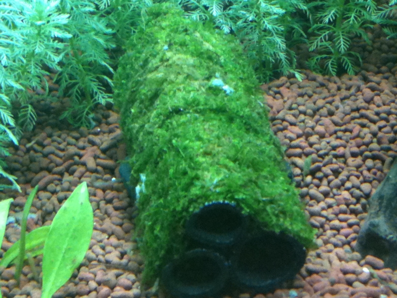 f:id:kohekit:20110703130236j:image:w360 f:id:kohekit:20110703130236j:image:w360