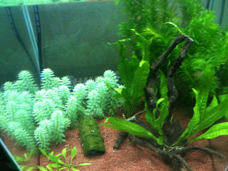 f:id:kohekit:20110703130438j:image:w360 f:id:kohekit:20110703130438j:image:w360