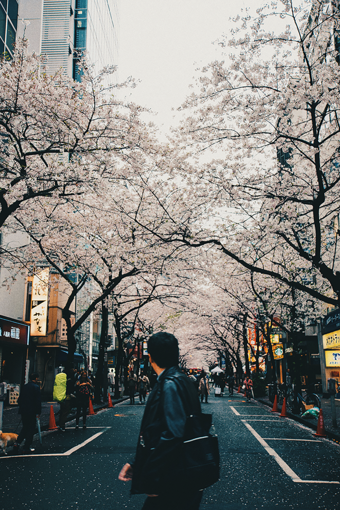 f:id:kohepi:20170528185059p:plain f:id:kohepi:20170528185059p:plain