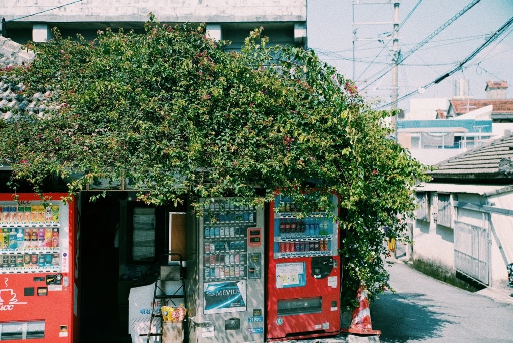 f:id:kohepi:20170530214556j:plain f:id:kohepi:20170530214556j:plain