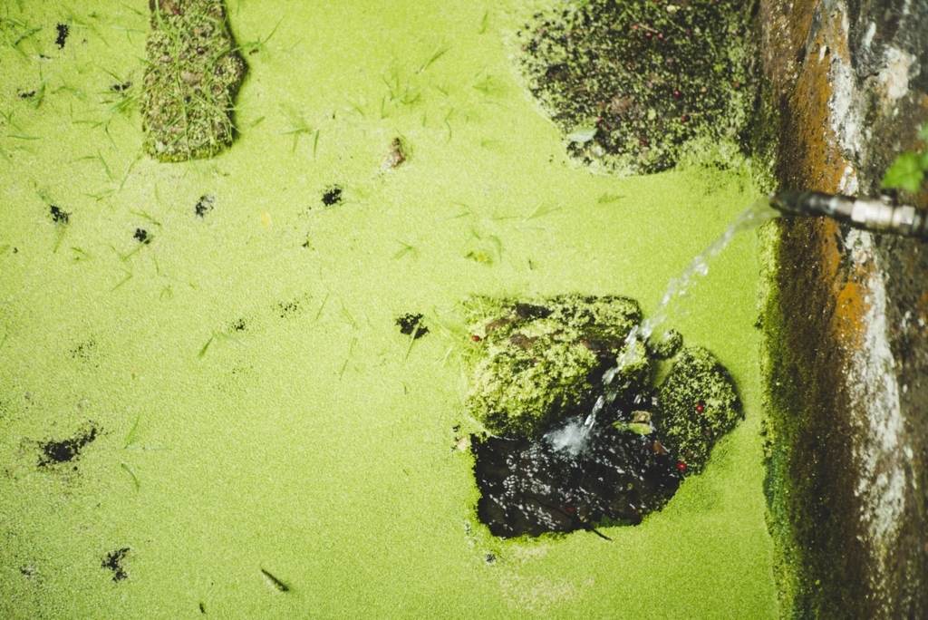 f:id:kohepi:20170626000402j:plain f:id:kohepi:20170626000402j:plain