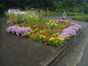 f:id:kohki3103609:20131006015113j:image