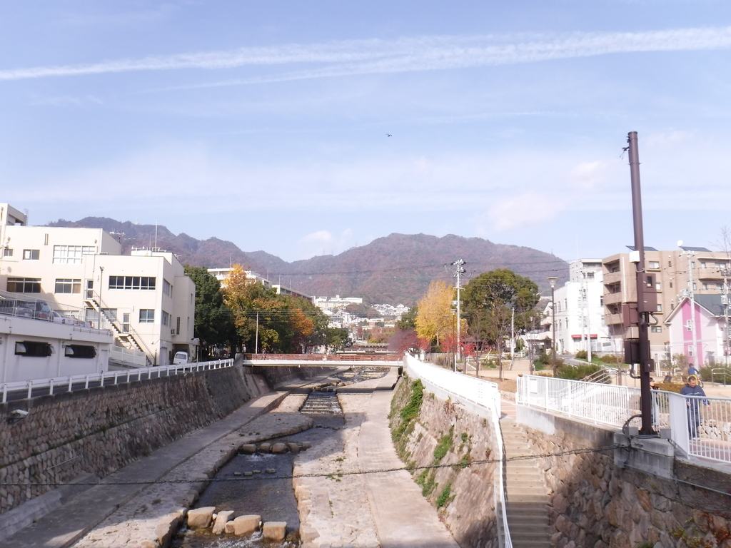 f:id:kohki3103609:20190310191231j:plain f:id:kohki3103609:20190310191231j:plain
