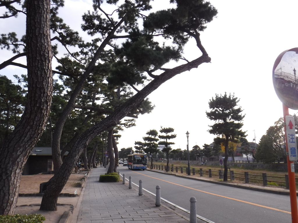 f:id:kohki3103609:20190310193854j:plain f:id:kohki3103609:20190310193854j:plain
