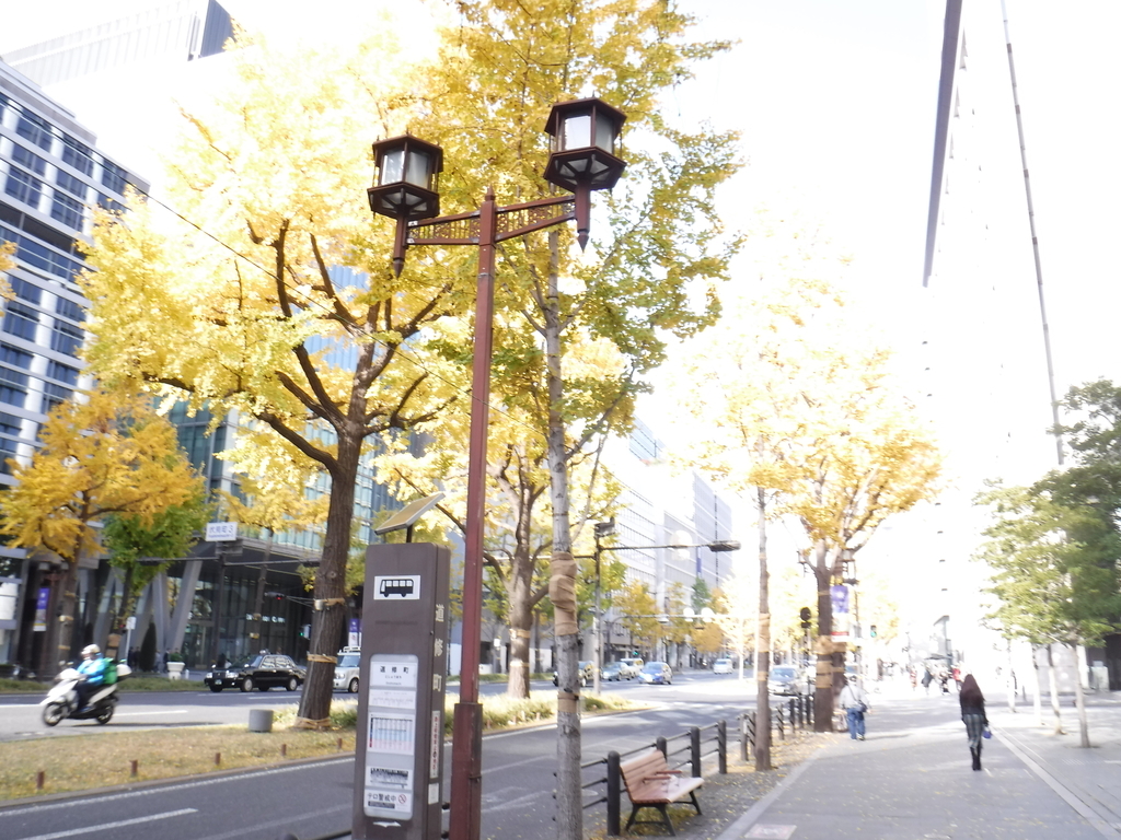 f:id:kohki3103609:20190310220535j:plain f:id:kohki3103609:20190310220535j:plain