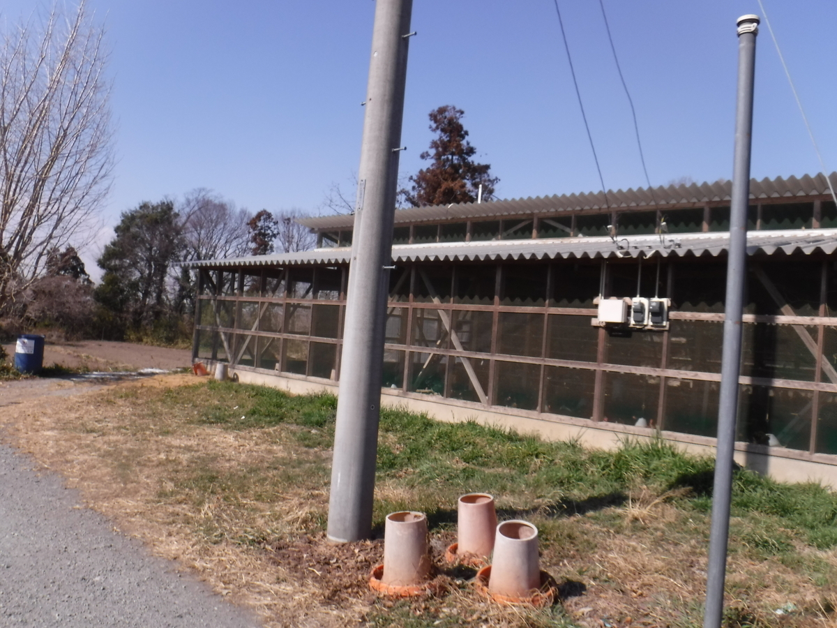 f:id:kohki3103609:20190512183214j:plain f:id:kohki3103609:20190512183214j:plain