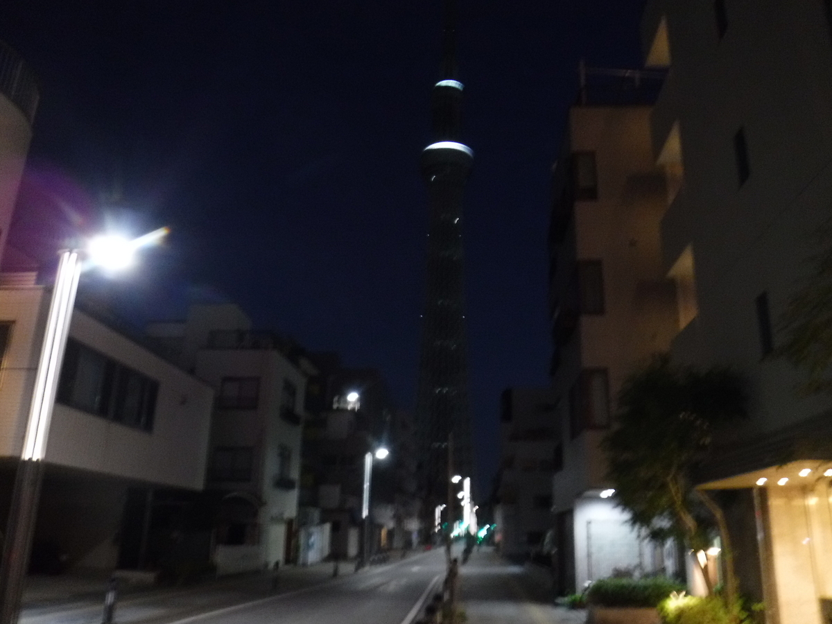 f:id:kohki3103609:20190512194756j:plain f:id:kohki3103609:20190512194756j:plain