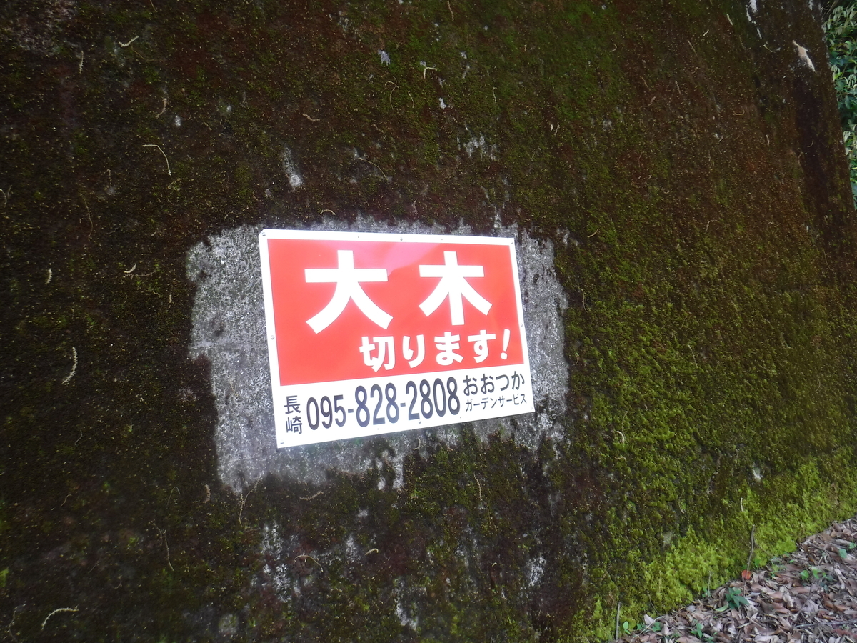 f:id:kohki3103609:20190608044121j:plain f:id:kohki3103609:20190608044121j:plain