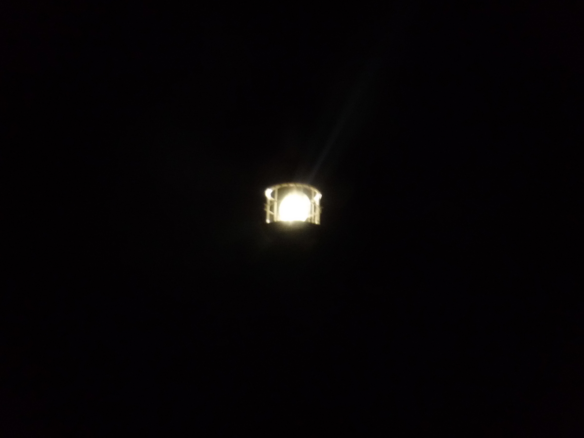 f:id:kohki3103609:20190609022014j:plain f:id:kohki3103609:20190609022014j:plain