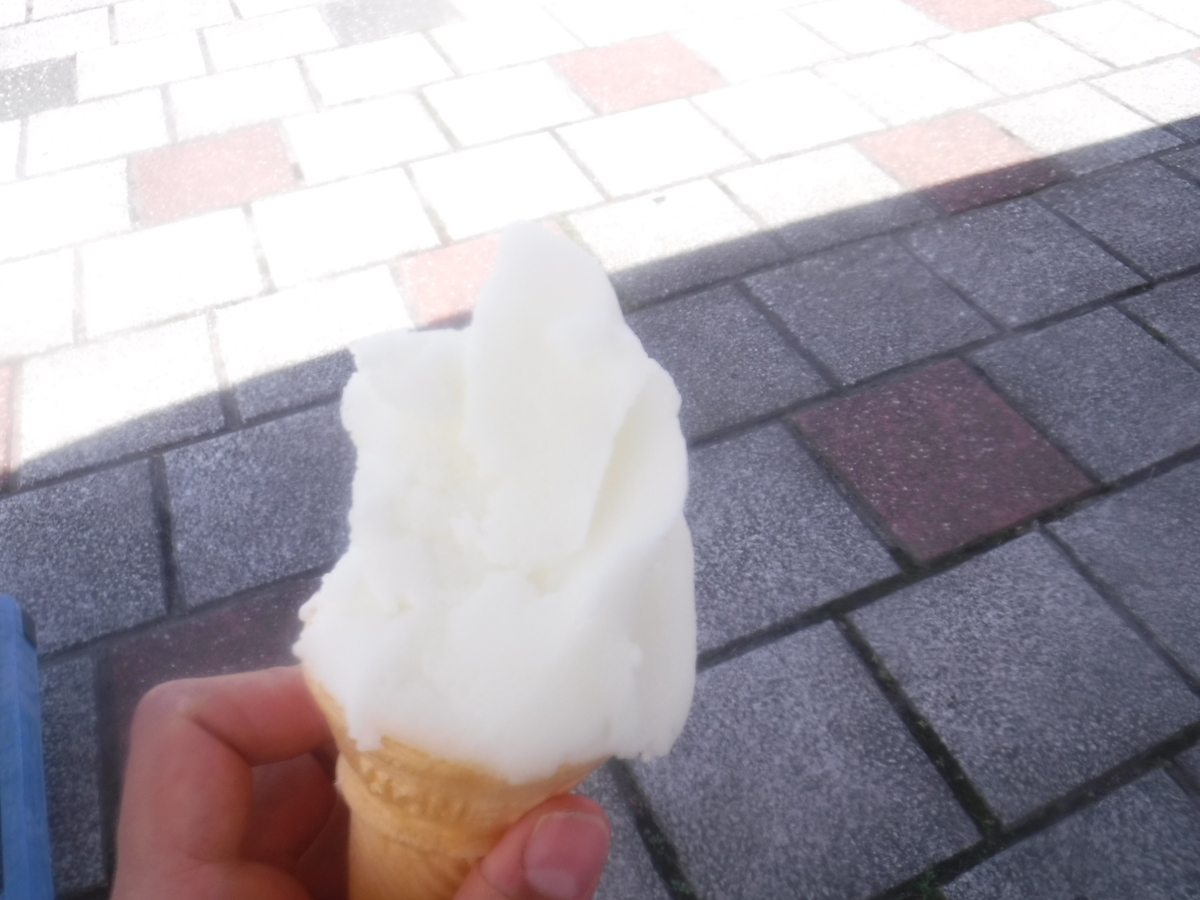 f:id:kohki3103609:20190812230844j:plain f:id:kohki3103609:20190812230844j:plain