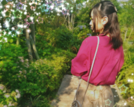 f:id:kohokushogi:20190114001951p:plain f:id:kohokushogi:20190114001951p:plain