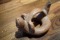 f:id:kohorogi:20180825140157j:image:small,right
