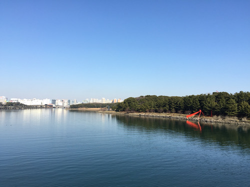 大井埠頭中央海浜公園