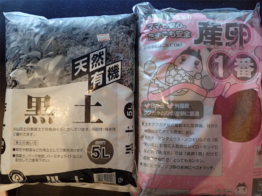 タイワンミヤマクワガタ 産卵セット投入 - stag_beetle_japan