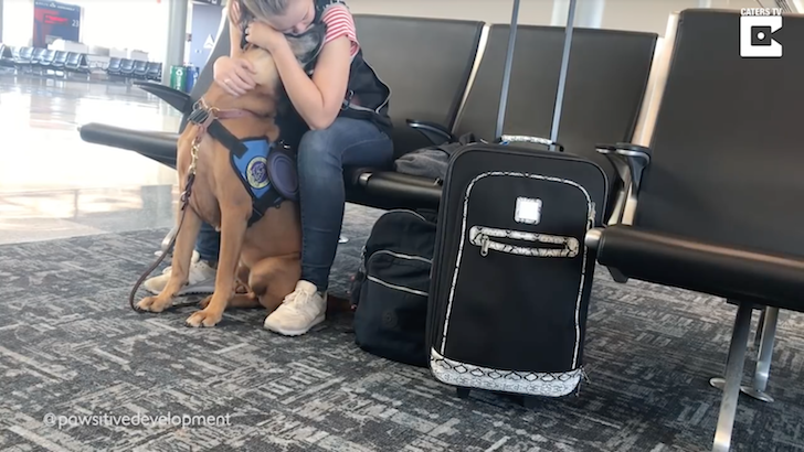 様子がおかしい要介護者に寄り添う介助犬