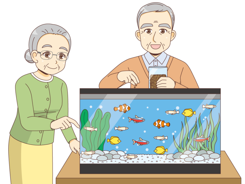 f:id:koichi68:20220304073513p:plain