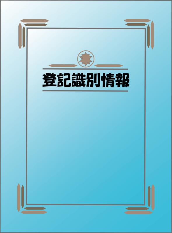 20241215133335