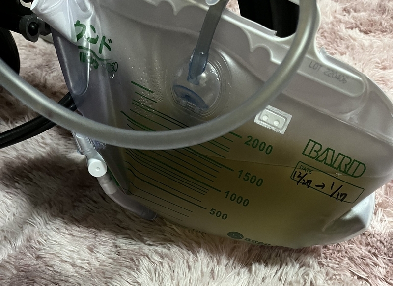 20250201171102