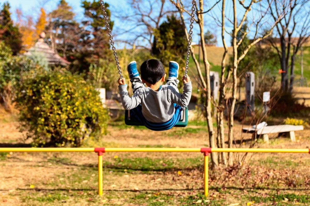 f:id:koichi7231:20201206171707j:plain