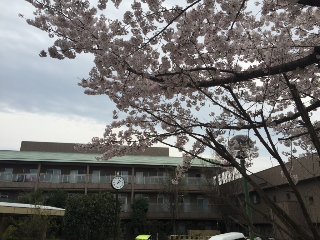 f:id:koichi_k:20170409140453j:plain