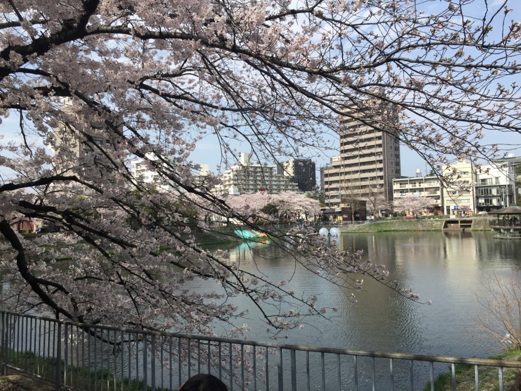 f:id:koichi_k:20170409142908j:plain