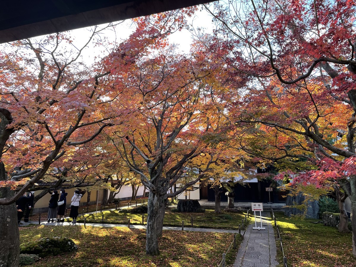 f:id:koichi_k:20211128145648j:plain