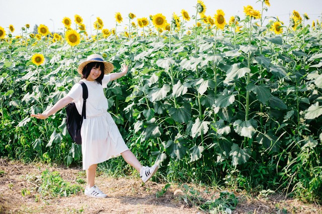 f:id:koichiro-sakajiri:20181217204249j:plain f:id:koichiro-sakajiri:20181217204249j:plain
