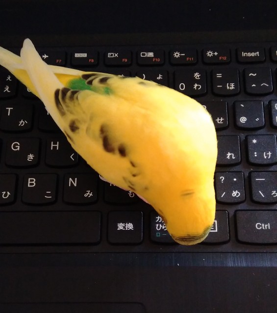 f:id:koichobi:20210318141807j:image