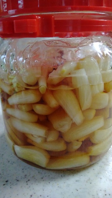 f:id:koichobi:20210611052932j:image