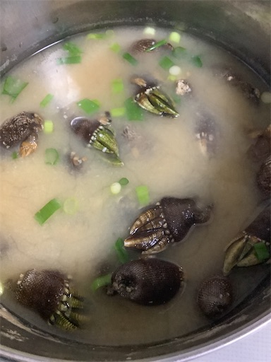 f:id:koichobi:20210619103402j:image