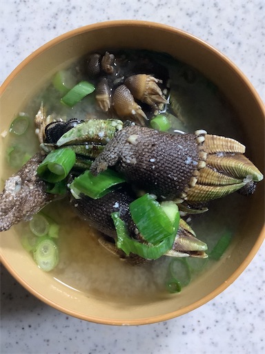 絶品 海の幸 気持ち悪い カメノテ いんことずぼら