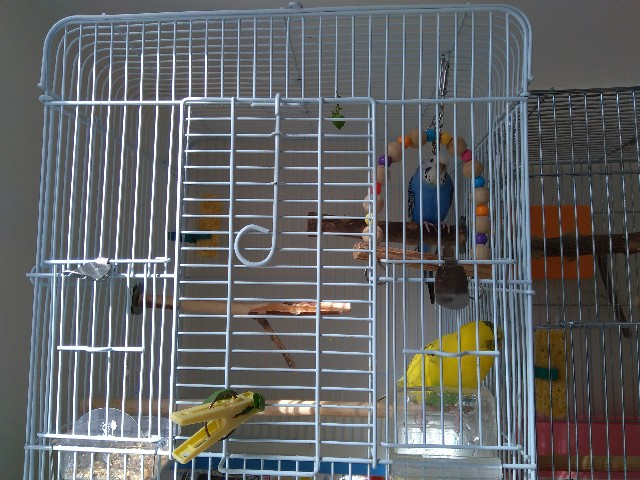 f:id:koichobi:20211121121253j:image