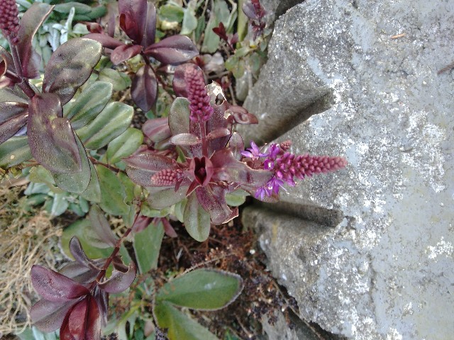 f:id:koichobi:20220215145651j:image