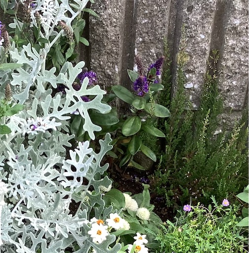 f:id:koichobi:20220215150659j:image