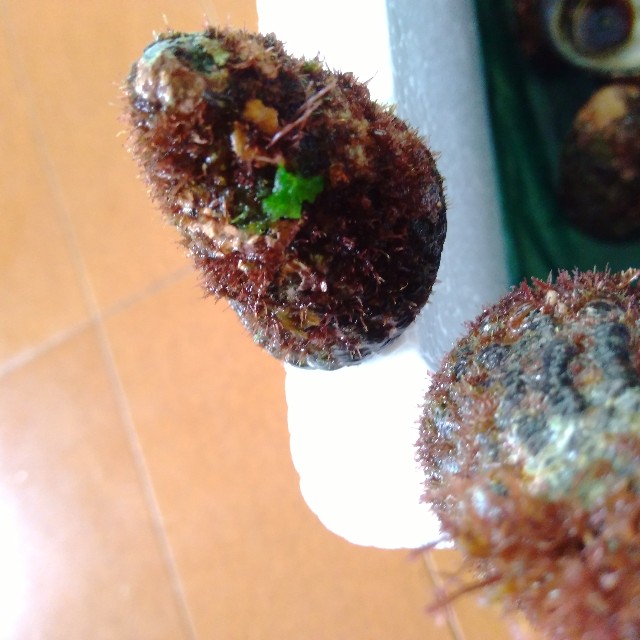 f:id:koichobi:20220618153629j:image f:id:koichobi:20220618153629j:image